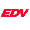 Every Day Violence – Início
